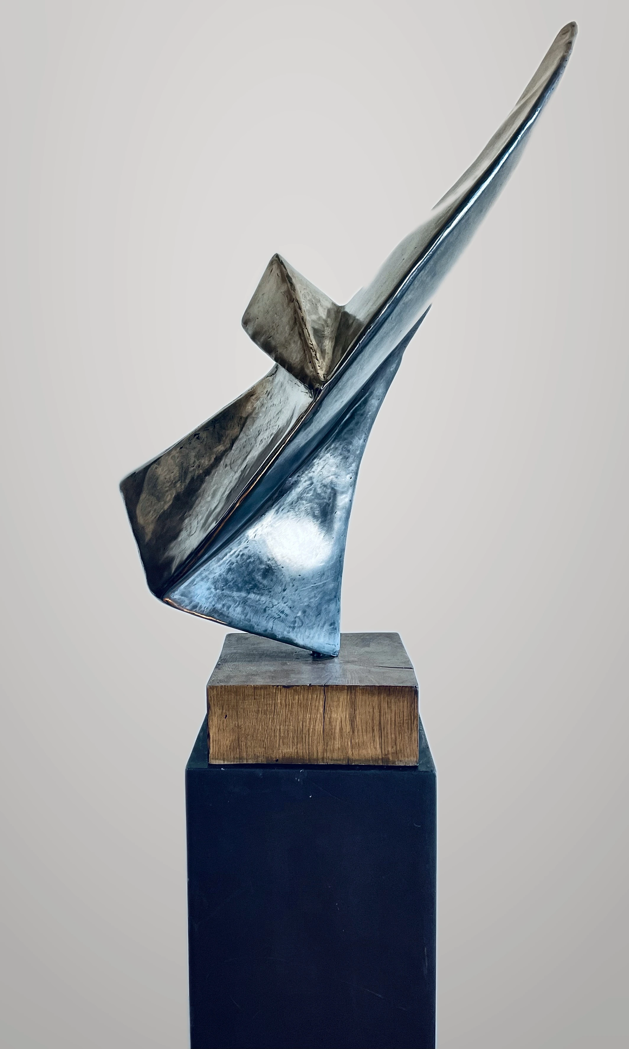 The Seagull of Montparnasse, steel on wood block